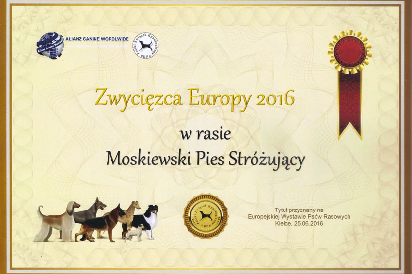 Dyplom Zwycięzca Europy, Europejska Wystawa Psów Rasowych Kielce 2016.06.25 - Yagodka - Tajga